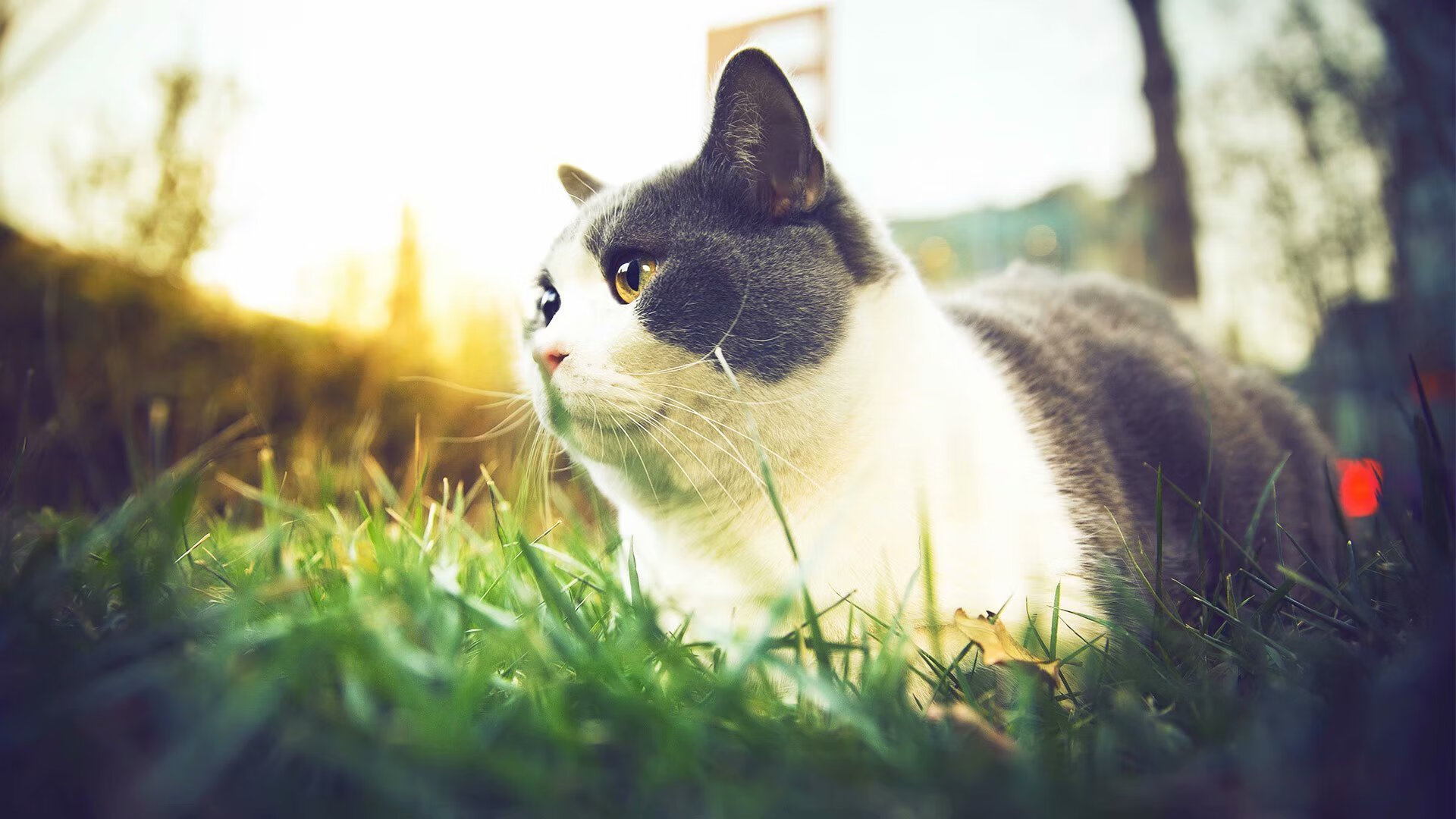 防守的双重奏，英格兰铁闸锁死安哥拉，门迪西决生死战一夫当关