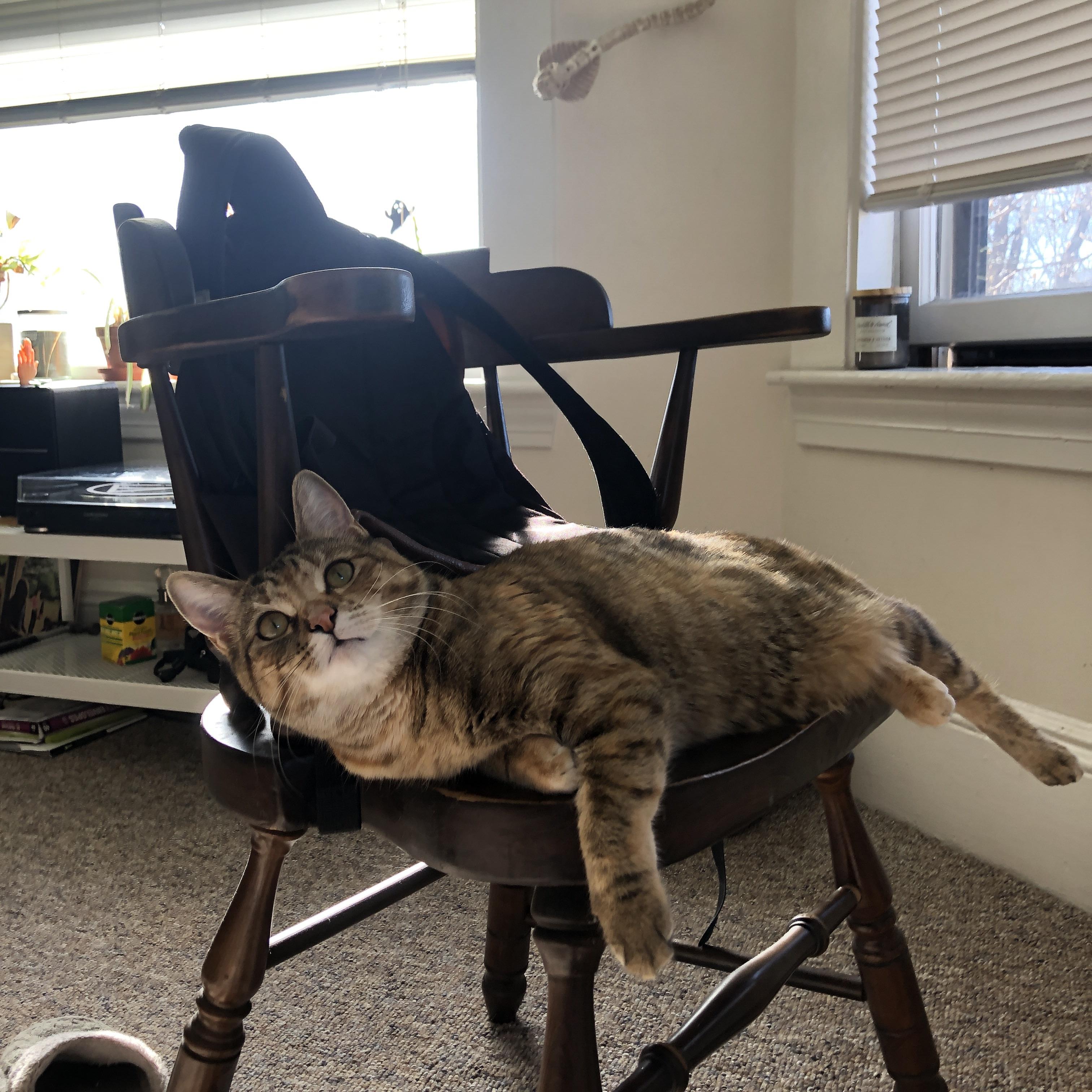 三步棋,福登如何用30分钟让曼城与玻利维亚的较量失去悬念