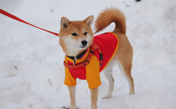 谁是英雄?一个非典型英雄的西甲国家德比之夜