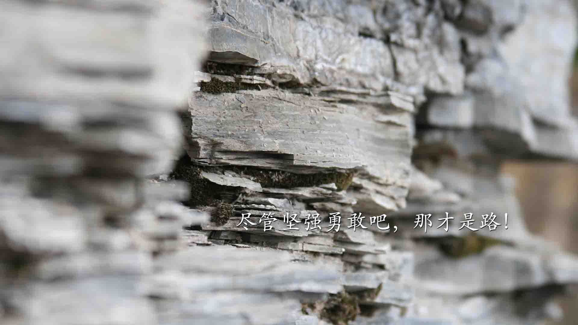 关键先生福克斯,独得37分导演超级逆转,上海队力擒老鹰