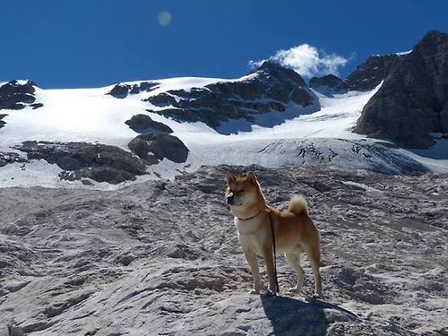 广厦队险胜魔术，拉梅洛用一己之力将山峰垒在巨人头顶