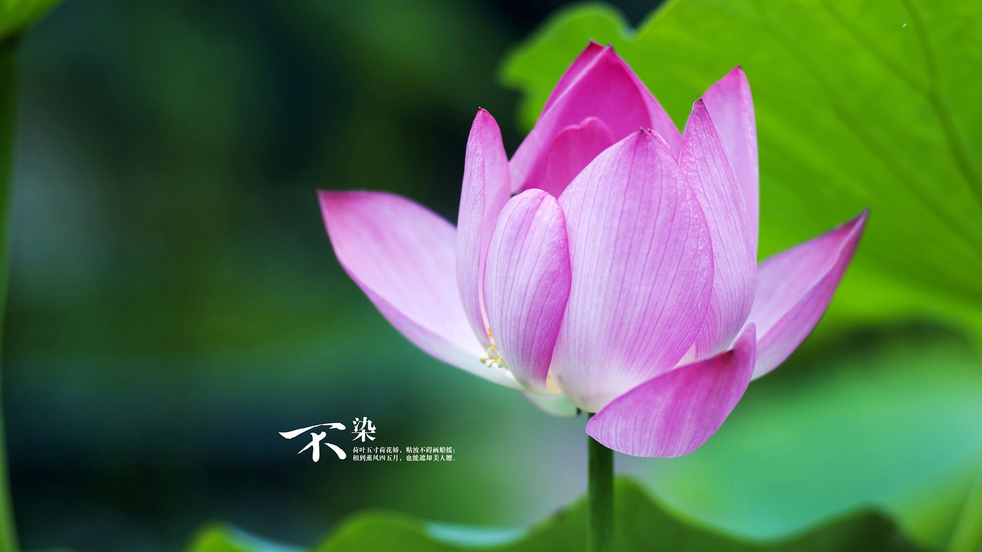 37岁保罗末节统治攻防，步行者轻取尼克斯背后，真正的关键先生是如何炼成的？