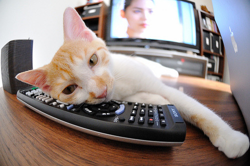 看到你的关键词NBA季后赛之夜，英格拉姆状态火热，这确实是一个令人兴奋的瞬间。为了写出一篇具有唯一性的文章，我们需要跳出常规的比赛报道，找到一个独特的叙事核心