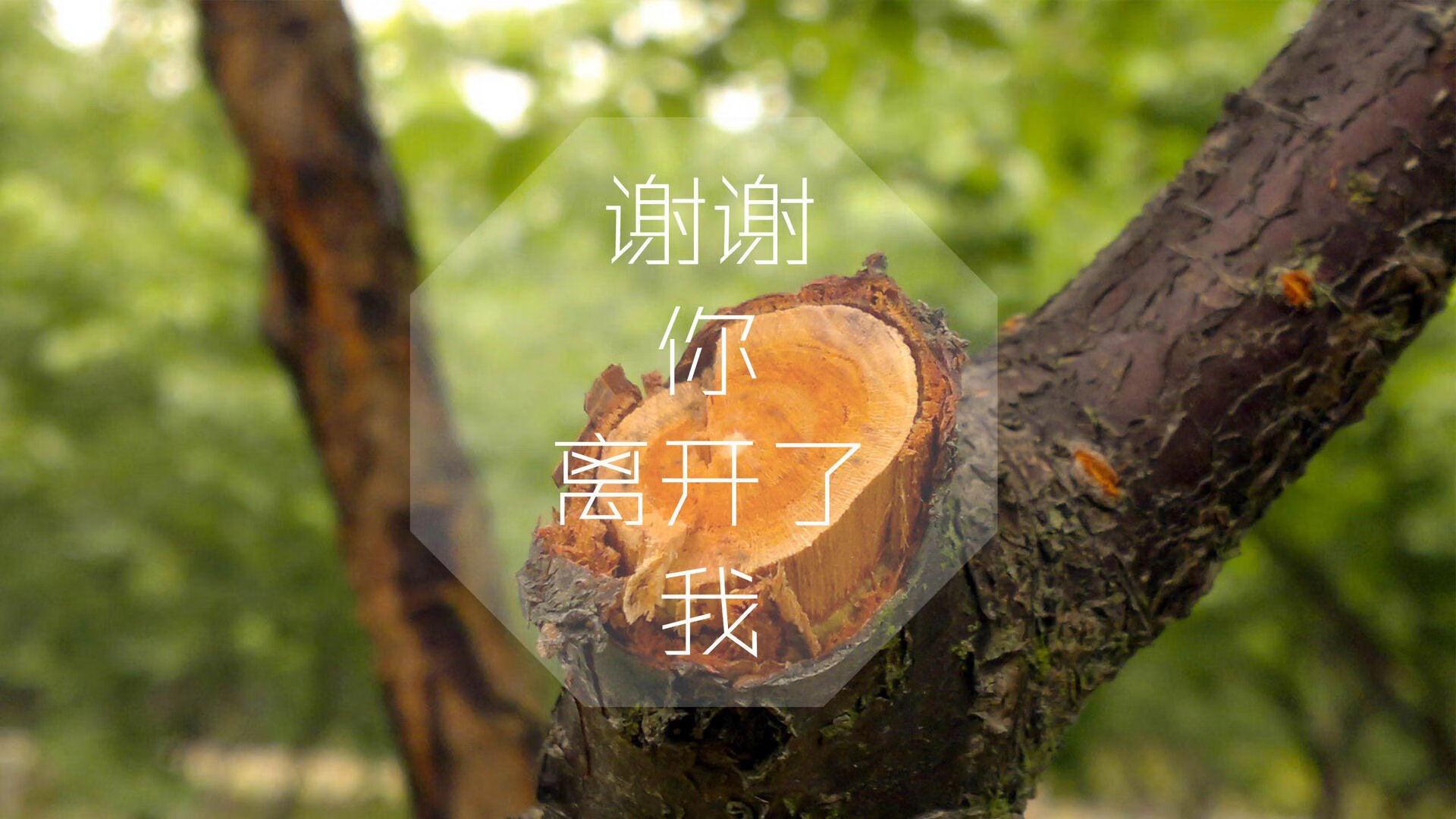 冰与火之外的独奏，2026世界杯G组，那份无法复制的攻守美学与历史绝杀