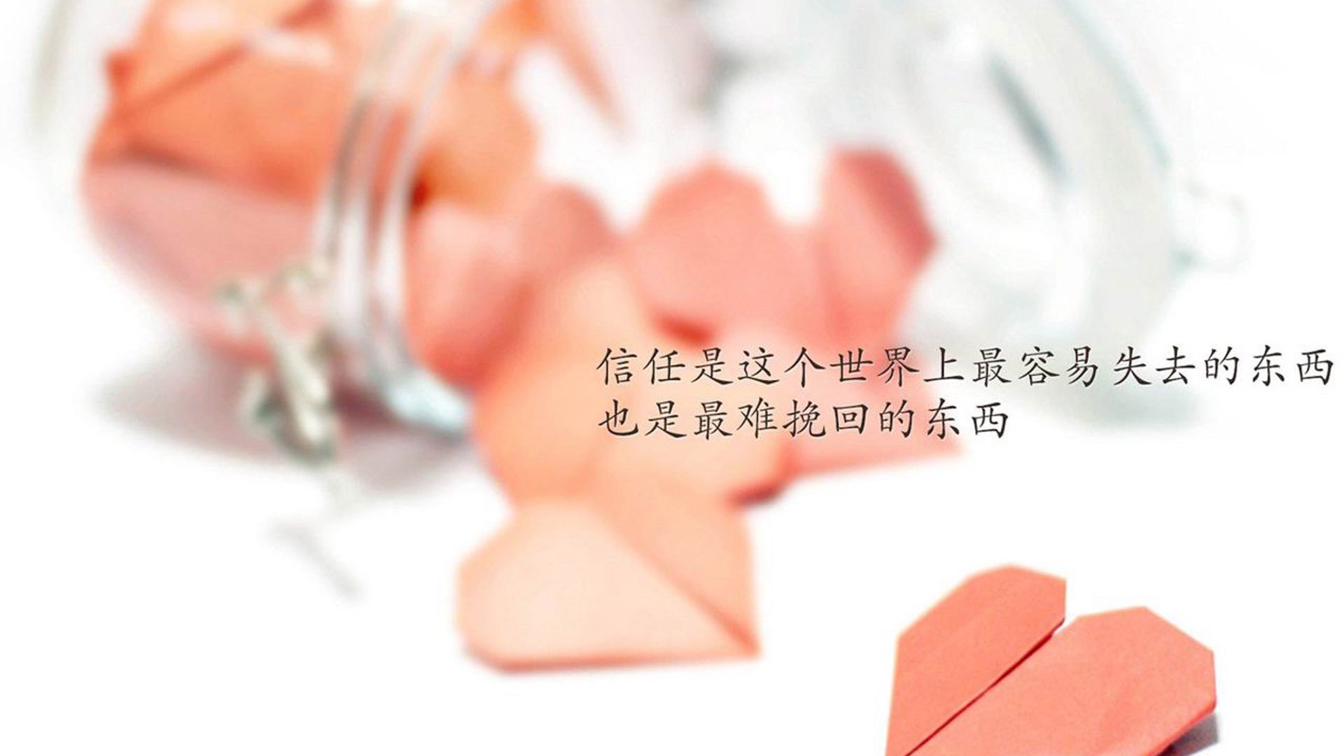 逆行的魔术师，阿诺德如何在2026世界杯C组底牌之战中，用一次唯一的战略锁死定义阿根廷与伊朗的宿命