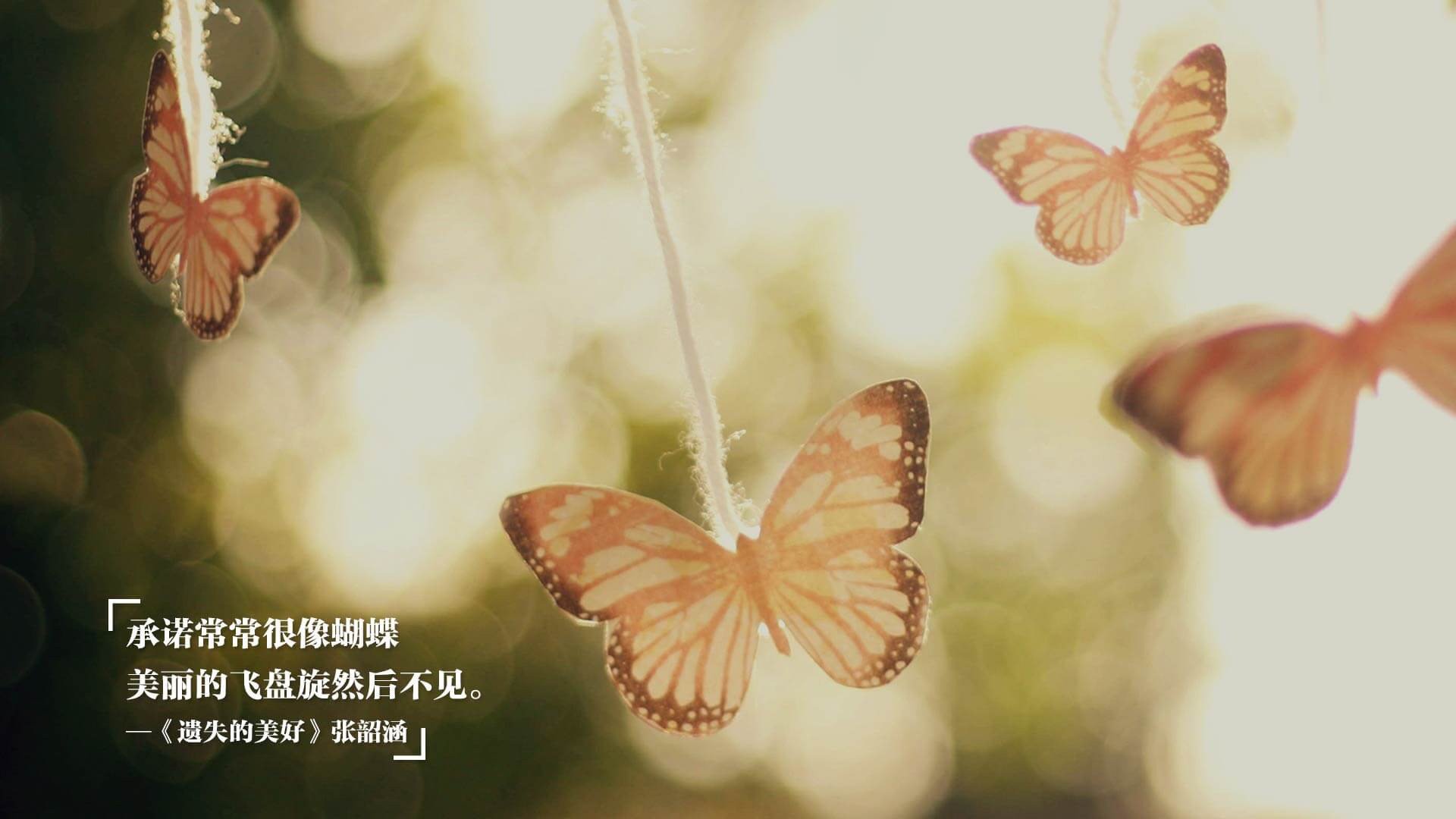 极光下的冰墙,冰岛门神封死罗德里戈,E组惊现维京战吼血洗瑞士