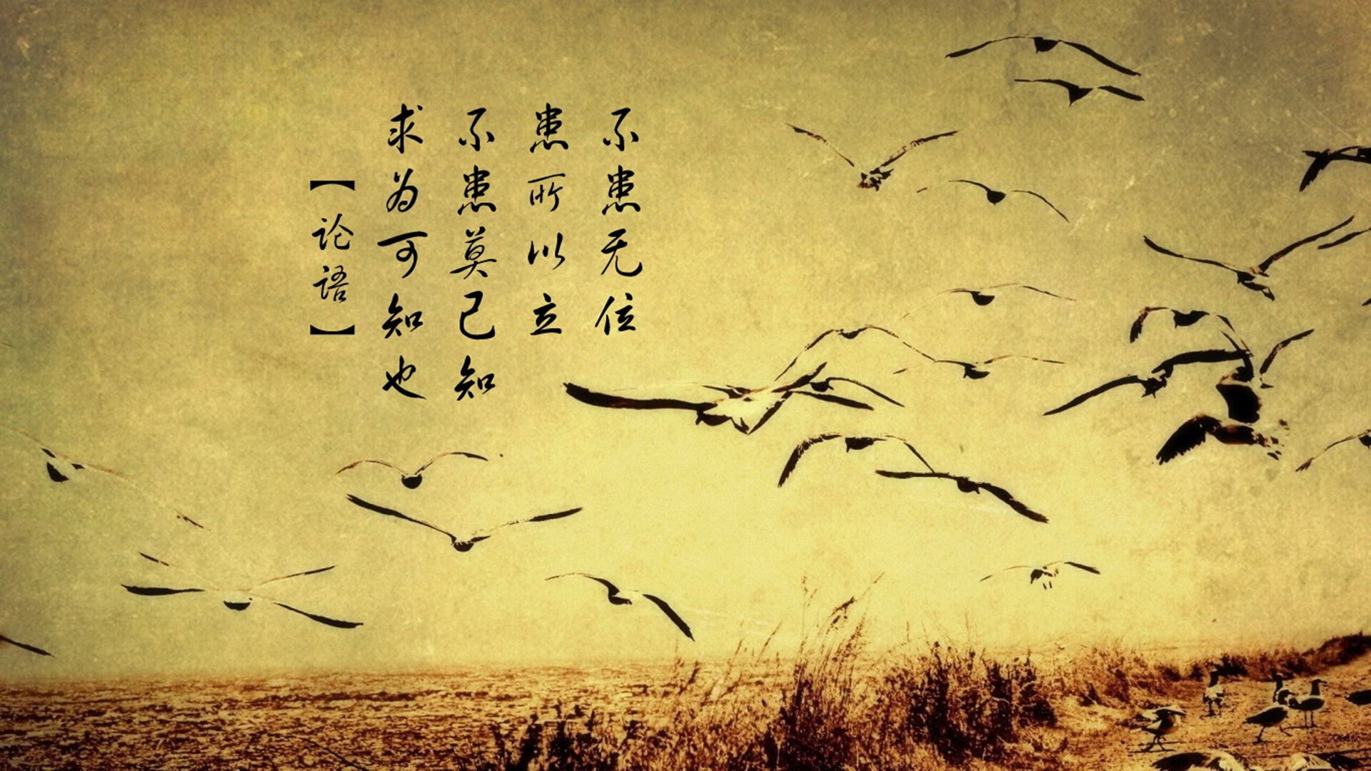 唯一性的绝唱，2026世界杯B组那一夜的宿命对决